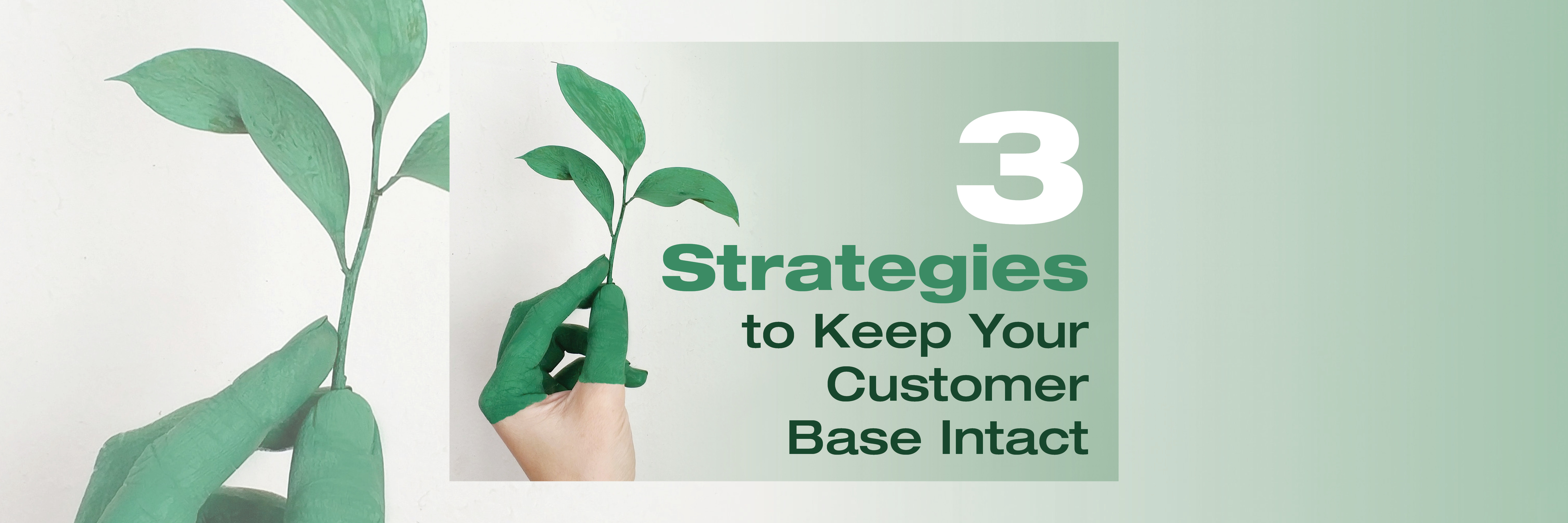 3 Strategies to Keep Your Customer Base Intact