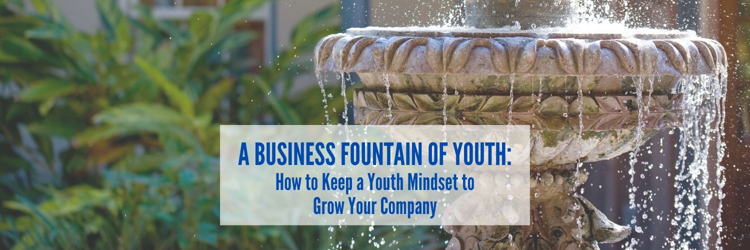 A Business Fountain of Youth: How to Keep a Youth Mindset to Grow Your Company