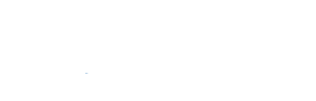 BW_NTW_LOGO_White