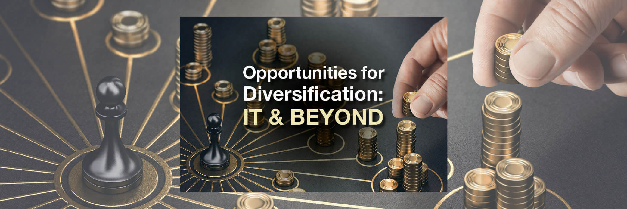 Opportunities for Diversification: IT & Beyond