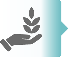 https://www3.greatamerica.com/hubfs/assets/images/PathShare/Cultivating%20Culture%20Arrow%20Bracket%20240x200.png